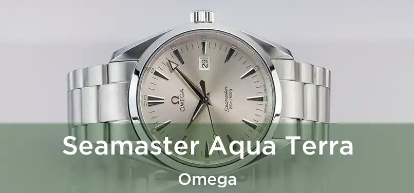 Seamaster Aqua Terra Omega